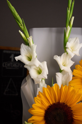 Букет" Любимому учителю " с подсолнухом арт 15245Дв